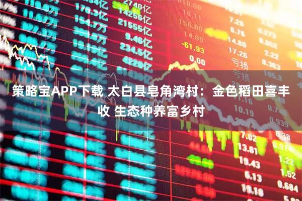 策略宝APP下载 太白县皂角湾村：金色稻田喜丰收 生态种养富乡村