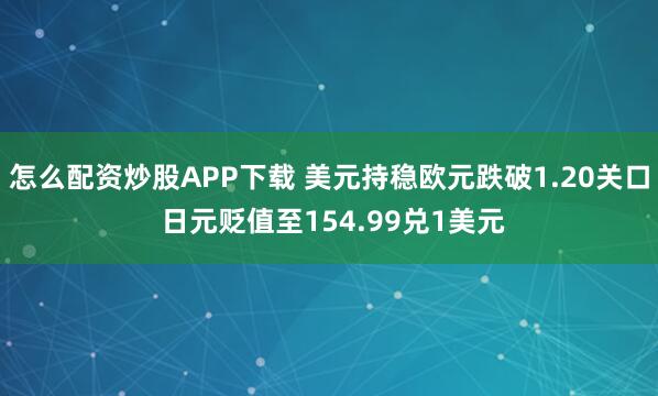 怎么配资炒股APP下载 美元持稳欧元跌破1.20关口 日元贬值至154.99兑1美元