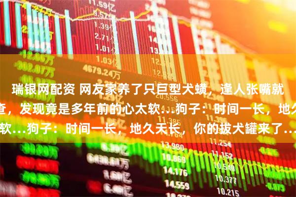 瑞银网配资 网友家养了只巨型犬蟥，逢人张嘴就开吸，主人无奈带去检查，发现竟是多年前的心太软…狗子：时间一长，地久天长，你的拔犬罐来了…