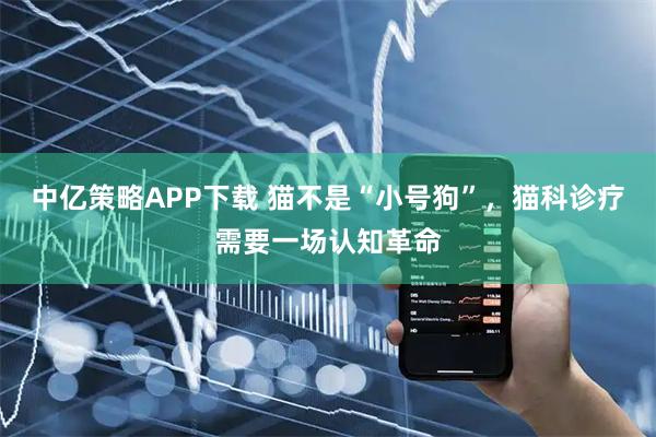 中亿策略APP下载 猫不是“小号狗”，猫科诊疗需要一场认知革命